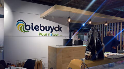 Present You stand Biebuyck